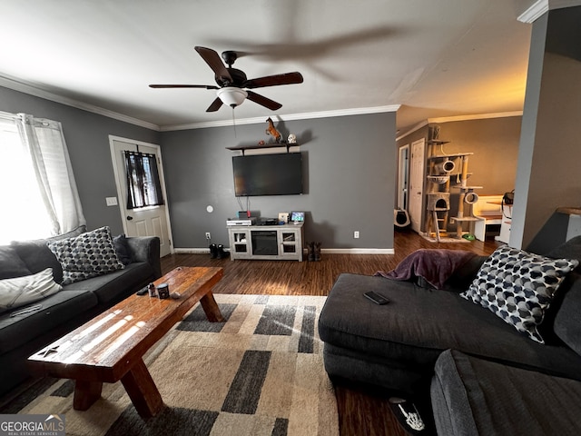 living room with ceiling fan, crown molding, and dark hardwood / wood-style floors