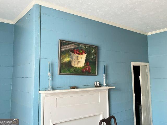 interior details featuring ornamental molding and a textured ceiling