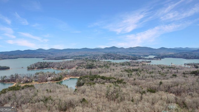 property view of mountains featuring a water view