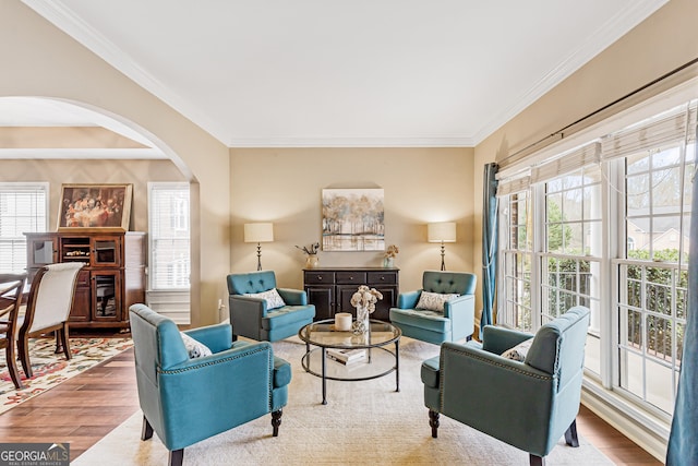 living room with hardwood / wood-style floors, ornamental molding, and a wealth of natural light