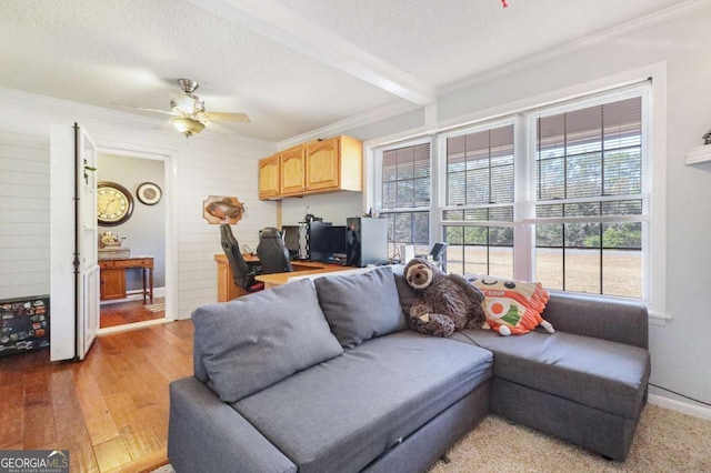 living room with ceiling fan, ornamental molding, a textured ceiling, and light wood-type flooring