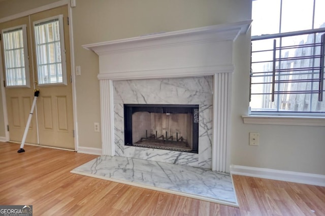 room details with a fireplace and wood-type flooring