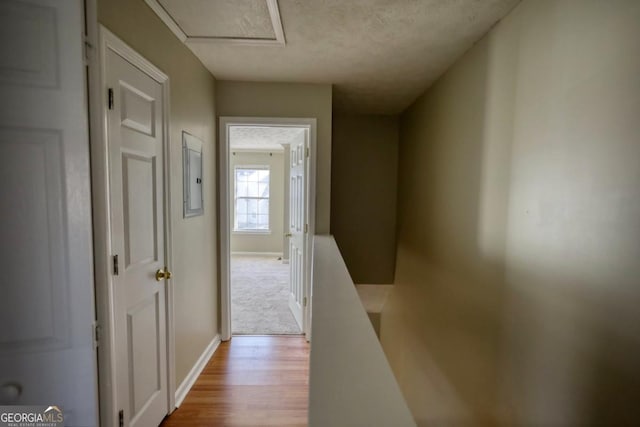 hallway featuring light hardwood / wood-style floors and a textured ceiling