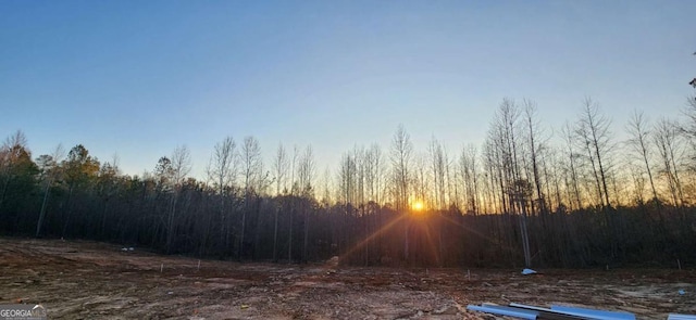 view of yard at dusk