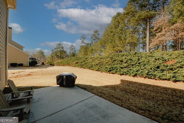 view of yard featuring a patio