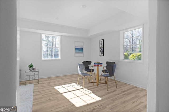 sitting room with a tray ceiling, a wealth of natural light, and light hardwood / wood-style flooring