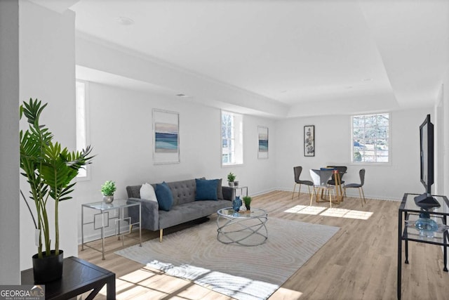 living room with a tray ceiling and light hardwood / wood-style floors