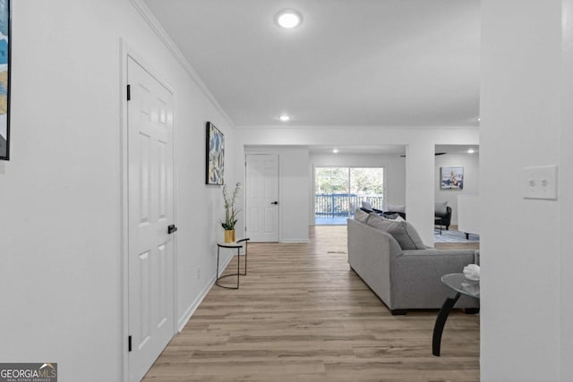 living room with crown molding and light hardwood / wood-style flooring