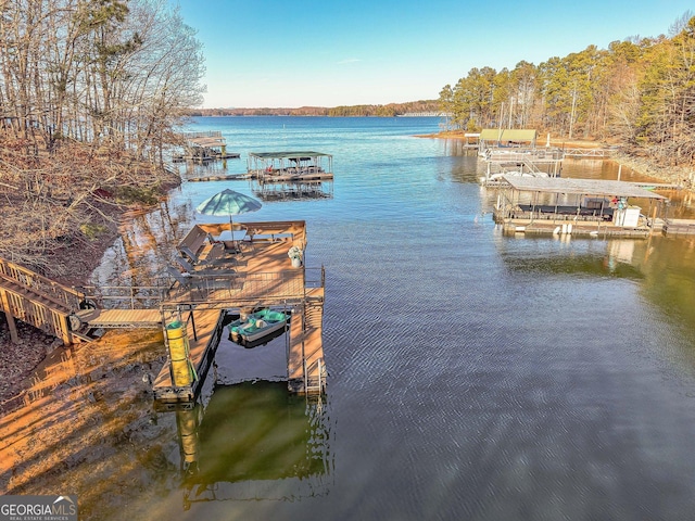 dock area with a water view