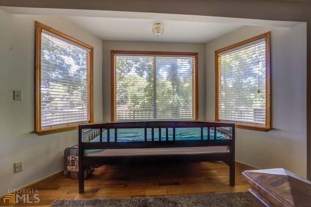 bedroom featuring wood-type flooring and multiple windows