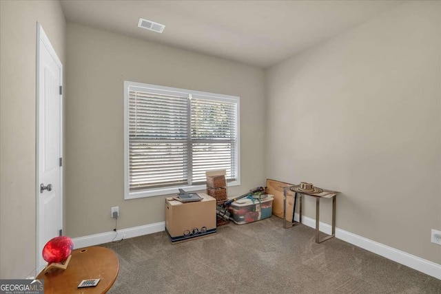 miscellaneous room featuring carpet