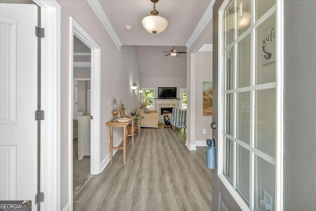 corridor featuring crown molding and light hardwood / wood-style floors