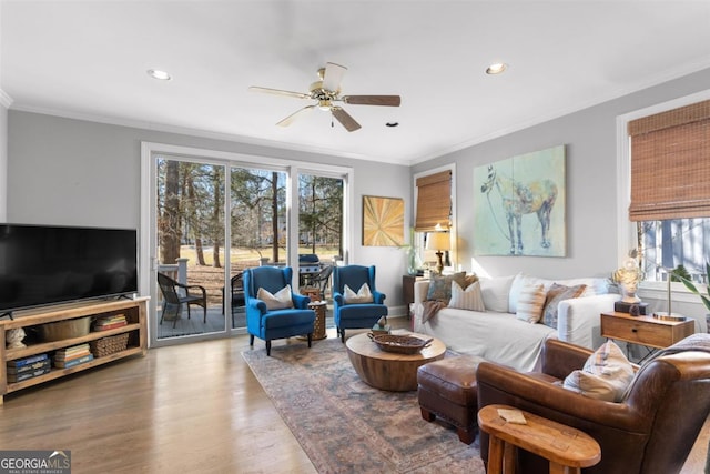 living room featuring ceiling fan, hardwood / wood-style flooring, and ornamental molding