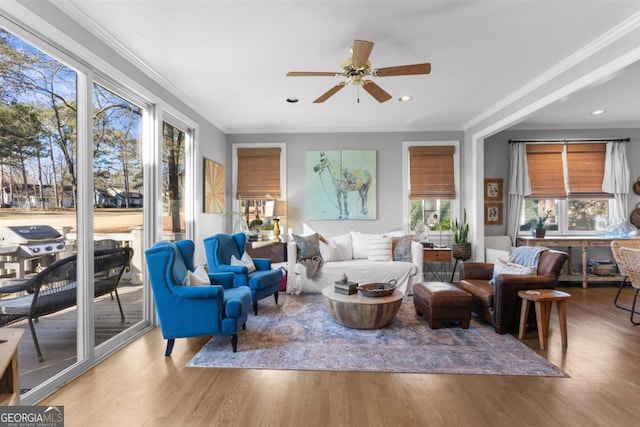 living room with wood-type flooring, ceiling fan, and crown molding