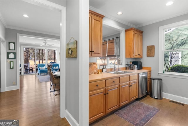 kitchen featuring dishwasher, ceiling fan, plenty of natural light, and sink