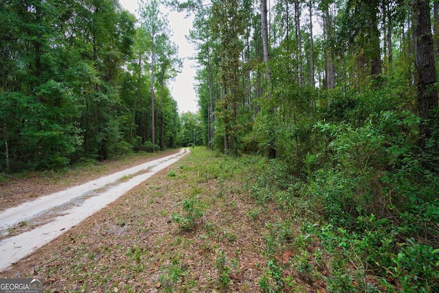 Listing photo 3 for 0 4th St, Ludowici GA 31316