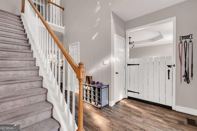 foyer with a raised ceiling and dark wood-type flooring