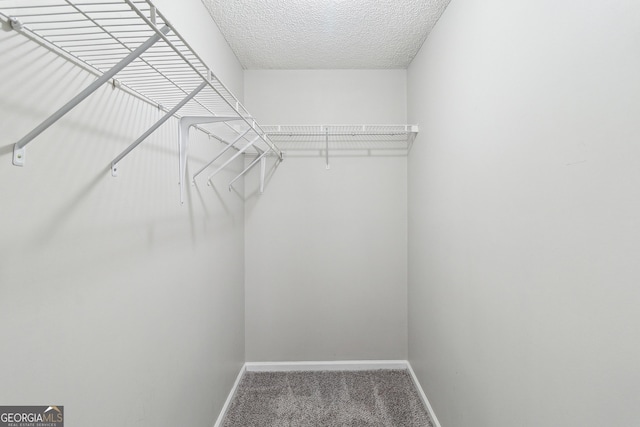 spacious closet with carpet flooring