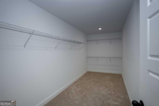 spacious closet featuring light colored carpet