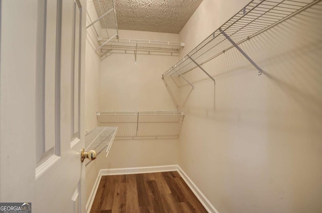 walk in closet featuring dark hardwood / wood-style flooring