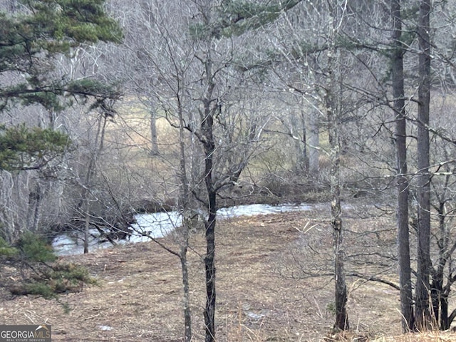 view of nature featuring a water view