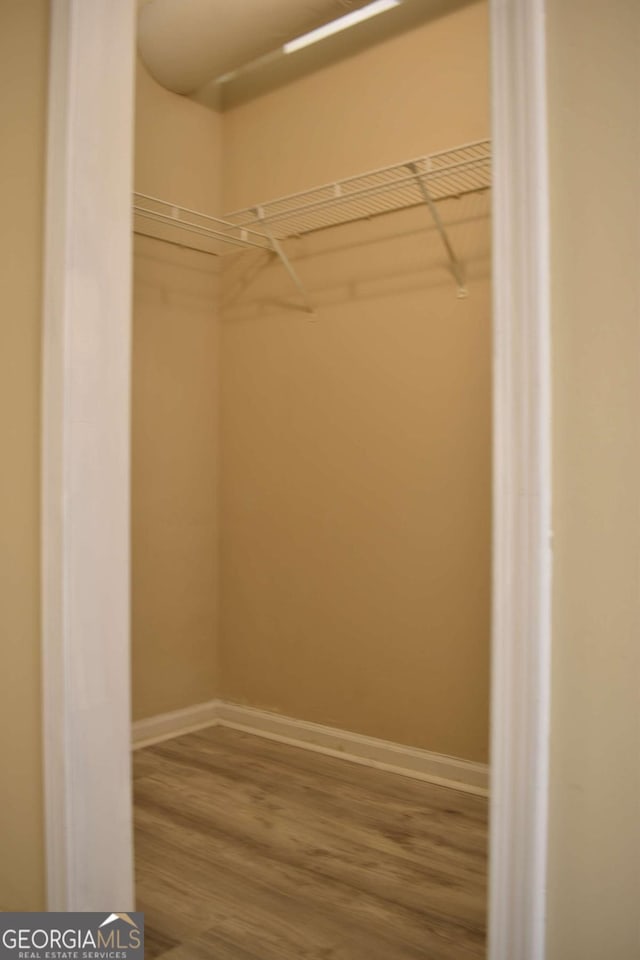 spacious closet with wood-type flooring