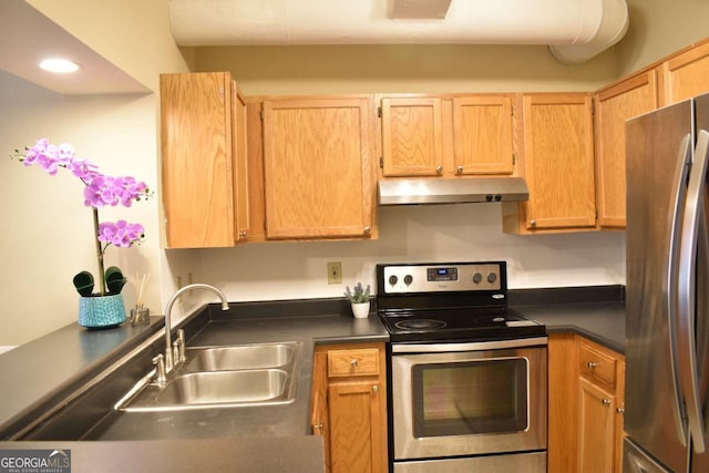 kitchen featuring stainless steel appliances and sink