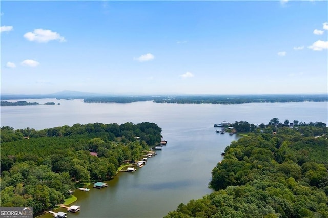 aerial view featuring a water view