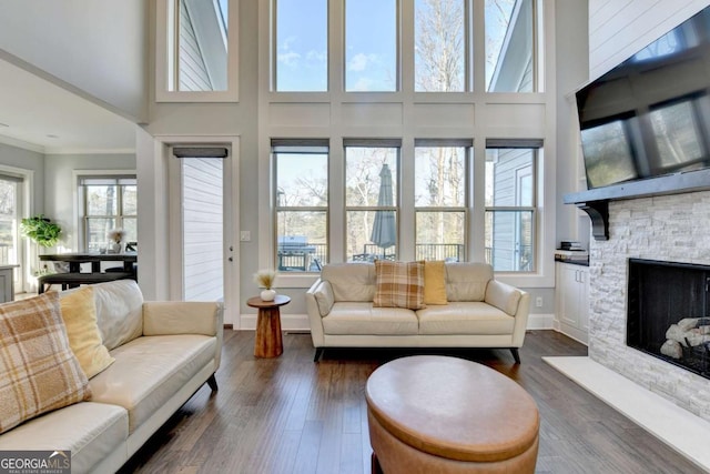 living room with a stone fireplace, a wealth of natural light, dark hardwood / wood-style flooring, and crown molding