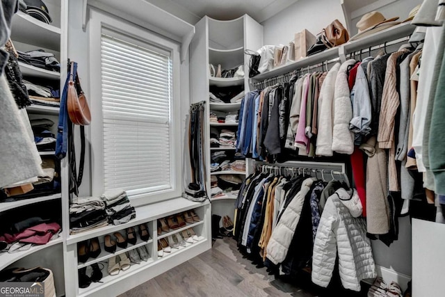 walk in closet featuring hardwood / wood-style flooring