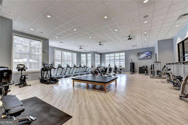 gym with ceiling fan, light hardwood / wood-style flooring, and a drop ceiling