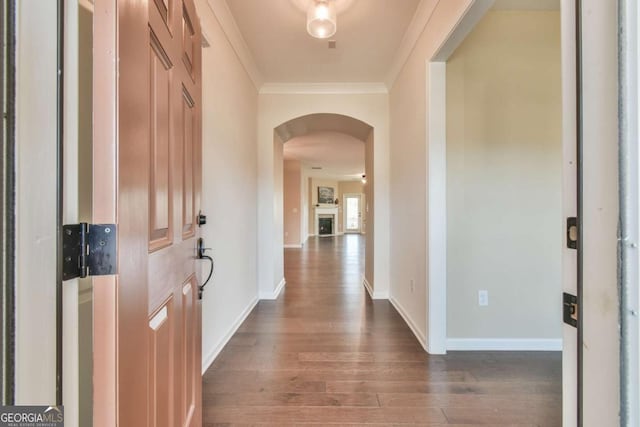 entryway with crown molding and dark hardwood / wood-style floors