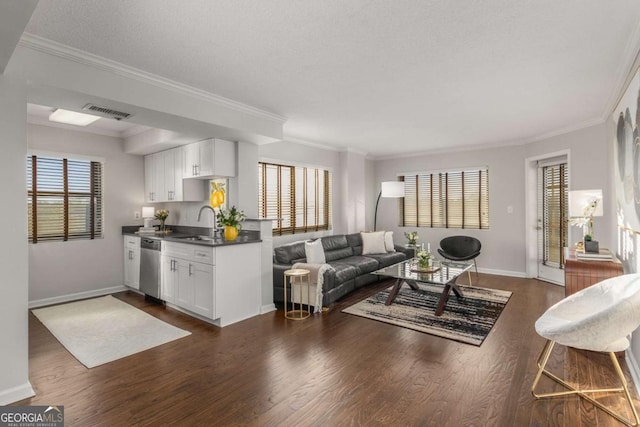 living room with crown molding, sink, dark wood-type flooring, and a textured ceiling