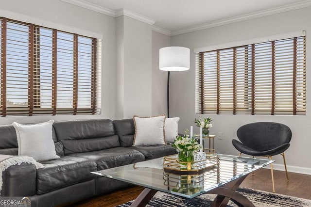 living room with ornamental molding and hardwood / wood-style floors