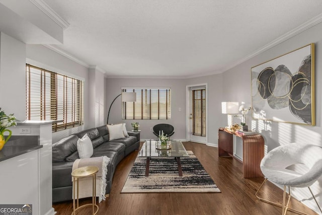 living room featuring crown molding and dark wood-type flooring