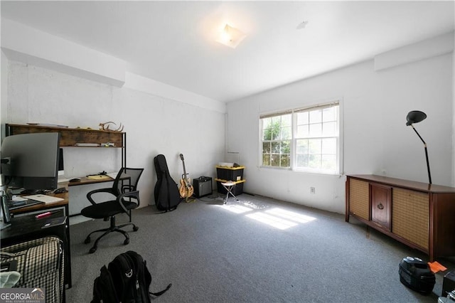 office area featuring carpet floors