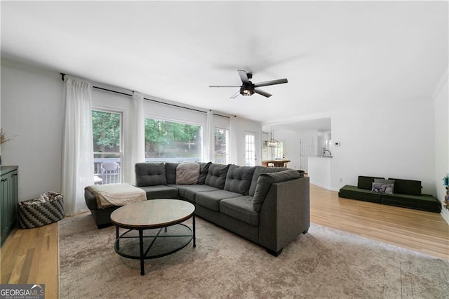 living room featuring light wood-type flooring and ceiling fan