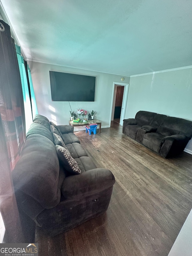 living room with hardwood / wood-style floors