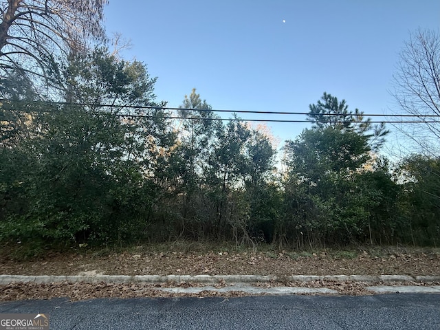 301 S Hull St, Sylvania GA, 30467 land for sale