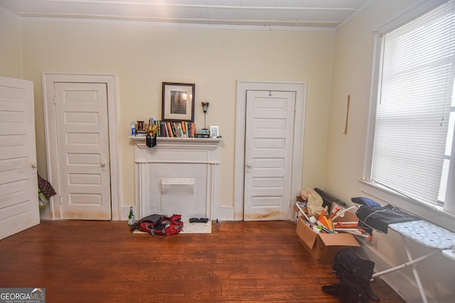 misc room featuring dark hardwood / wood-style floors and ornamental molding