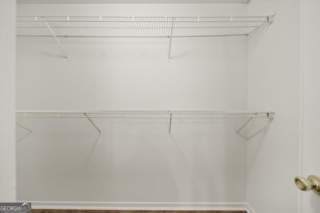 view of walk in closet