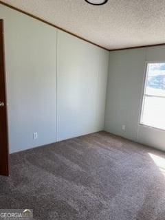 empty room featuring carpet and a textured ceiling