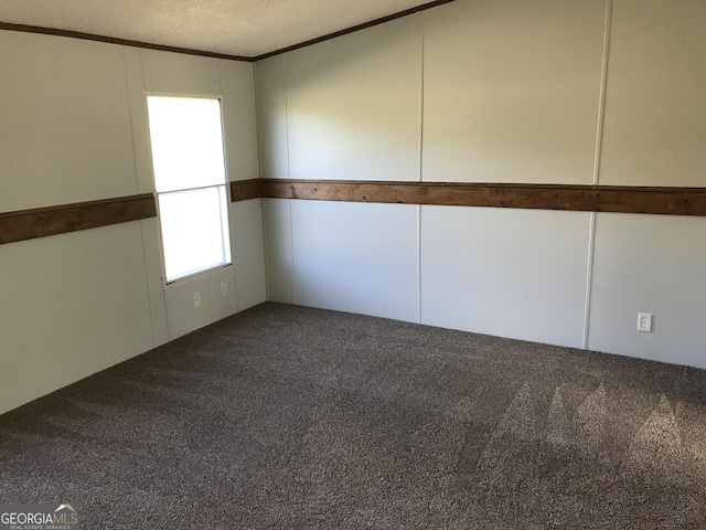 unfurnished room featuring carpet and a textured ceiling