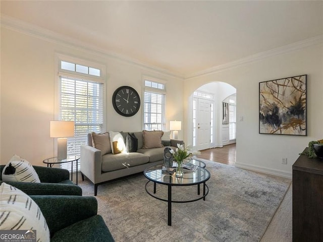 living room with hardwood / wood-style flooring and ornamental molding