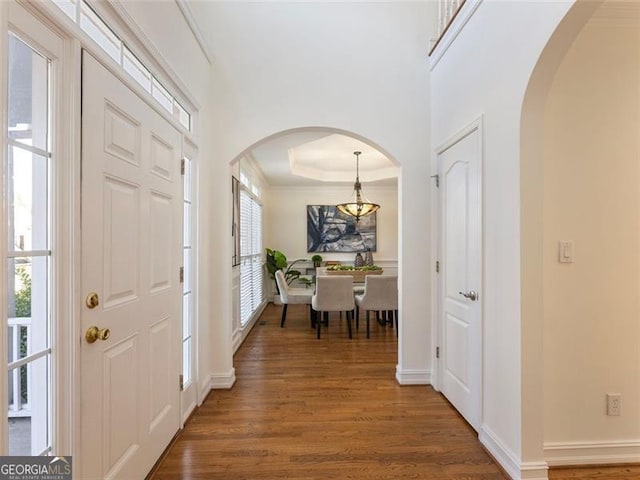 foyer featuring dark hardwood / wood-style flooring and a raised ceiling