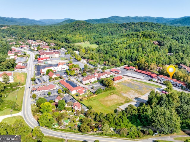 birds eye view of property featuring a mountain view