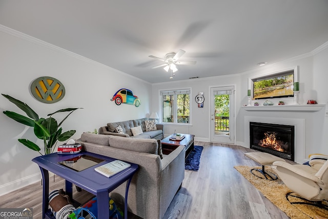 living room with ceiling fan, ornamental molding, and light hardwood / wood-style flooring