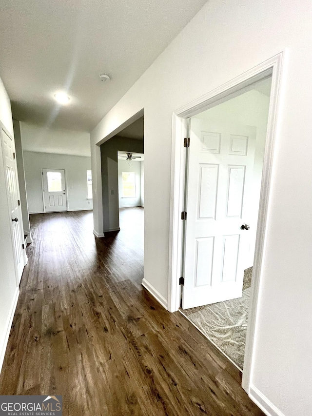 hall with dark hardwood / wood-style flooring