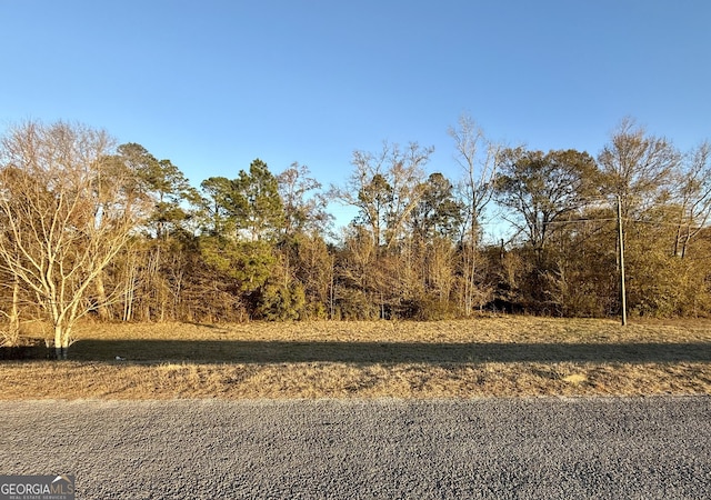 0 Frontage Rd, Sylvania GA, 30467 land for sale