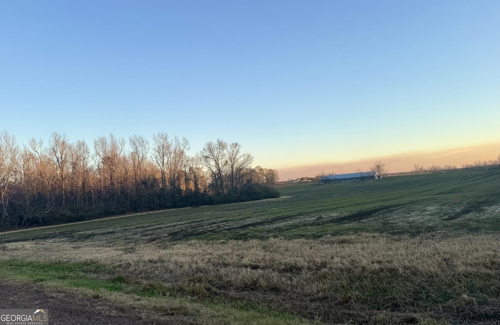 yard at dusk with a rural view